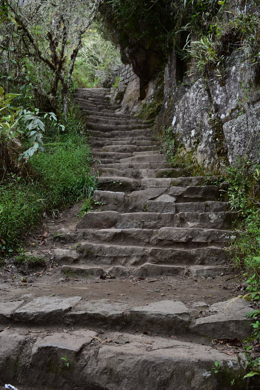 Steps to Huayna Picchu